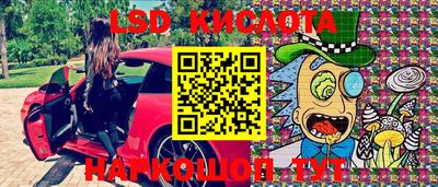 спиды Кинель
