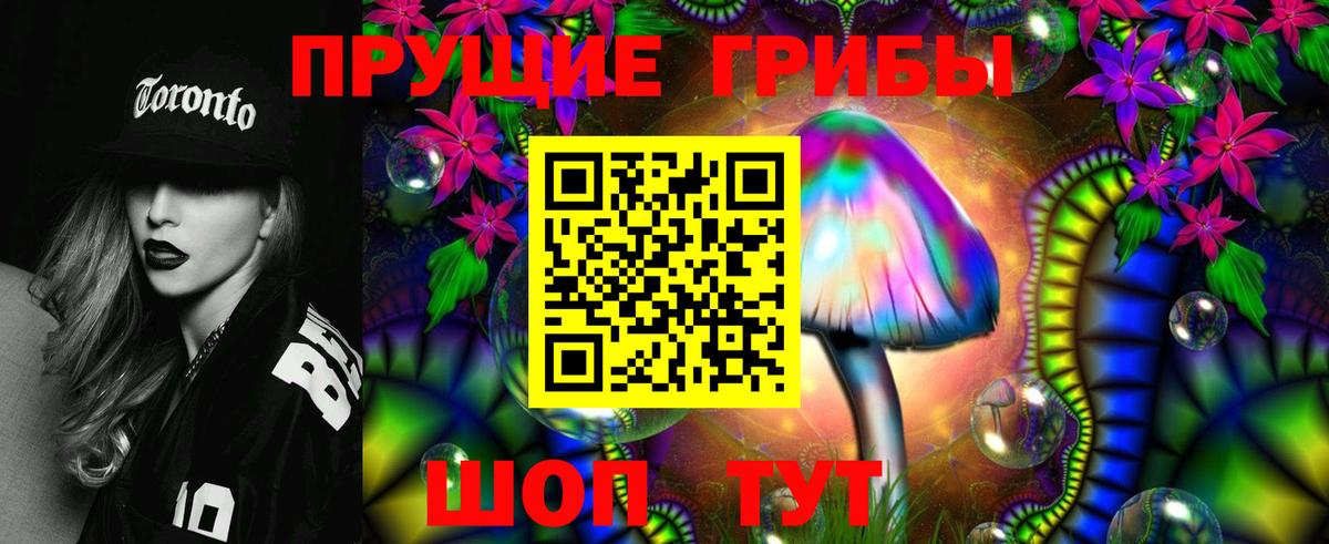 Псилоцибиновые грибы Cubensis  Галлюциногенные грибы Psilocybine cubensis  Конаково  Вход с VPN 