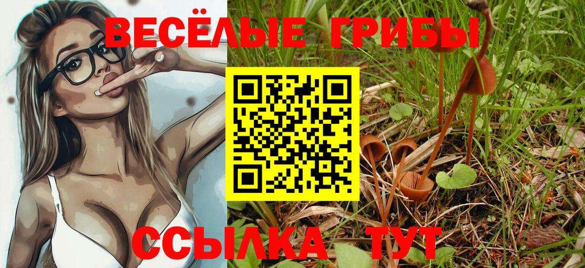Галлюциногенные грибы MAGIC MUSHROOMS Конаково